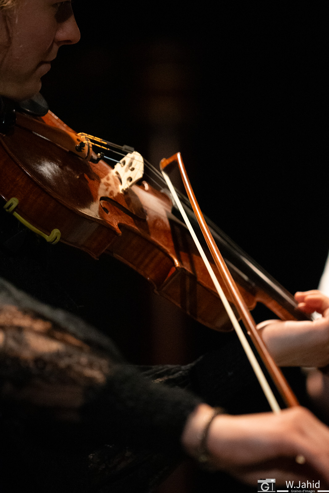 Photo ensemble de musiciens